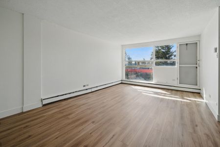 1 Bedroom - Photo 3