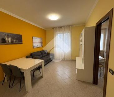 Bilocale in affitto - Photo 2