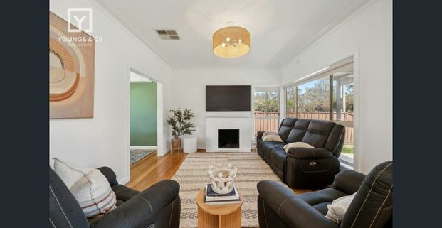 CENTRAL THREE BEDROOM - Photo 1