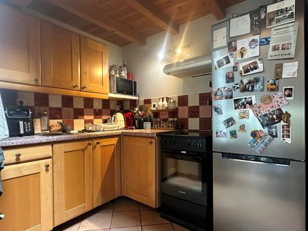 Location Appartement 2 pièces 50m² CHAMPAGNE AU MONT D OR 69410 - Photo 5