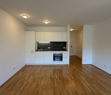 Josef-Kutscha-Gasse - 2 Zimmer Neubau mit 5,39m2 Loggia - Photo 2