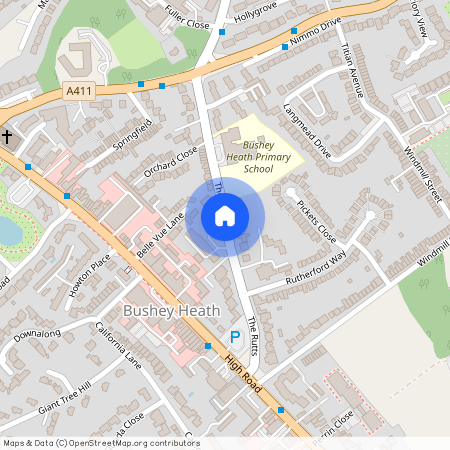 THE RUTTS, BUSHEY HEATH