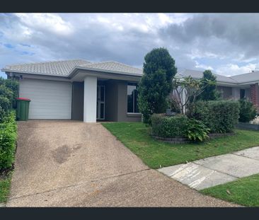 17 Wedgetail Street, Bahrs Scrub, Qld 4207 - Photo 1