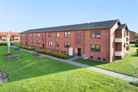 Afd. 2 Fuglebakken 1 - Foto 4