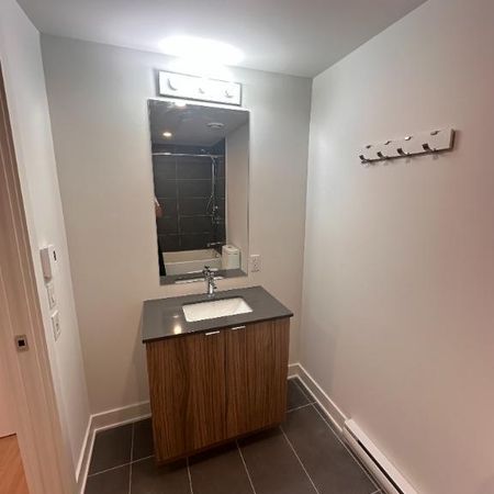 Beau 3 1/2 dans immeuble avec ascenseur - Photo 4