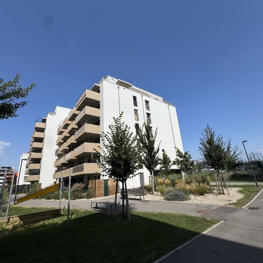 Perfekt für Singles oder Paare: Attraktive 2-Zimmer-Wohnung mit Balkon nahe U1 - Photo 1