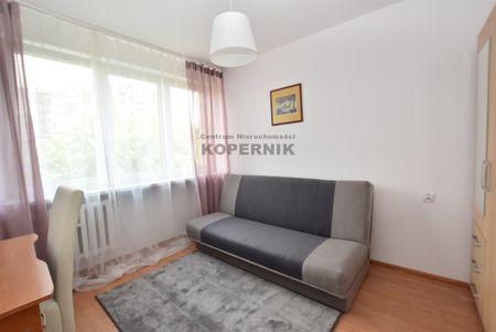 Toruń, Toruń - Фото 5