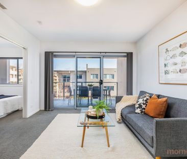 159/45 Catalano Street, Wright ACT 2611 - Apartment For Rent | Domain - Photo 4