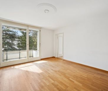 2.5 Zimmer, 52 m², EG - Photo 3