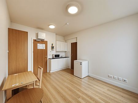 Studio Flat, Creswick Road, W3 - Photo 2