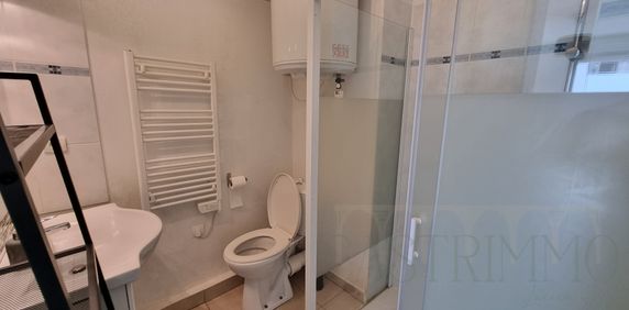 Location Appartement 1 pièce 17m² CASTELNAU LE LEZ 34170 - Photo 2