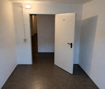 Pronájem bytu 1+1 • 42 m² bez realitkySeminarist. 20d, , Sasko - Photo 6