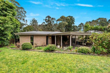 60 Jeffrey Drive, Ringwood - Photo 5