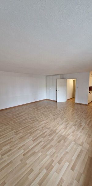 1.5 Zimmerwohnung im Osten der Stadt St. Gallen - Photo 1