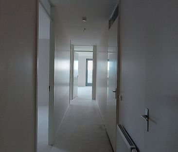 Vossenzoom 160 - Photo 6