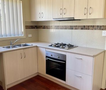 Hot To Trot! - Photo 3