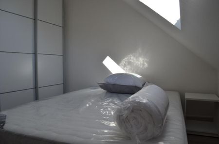 Location Appartement 2 pièces 31m² BEAUFORT EN ANJOU 49250 - Photo 4