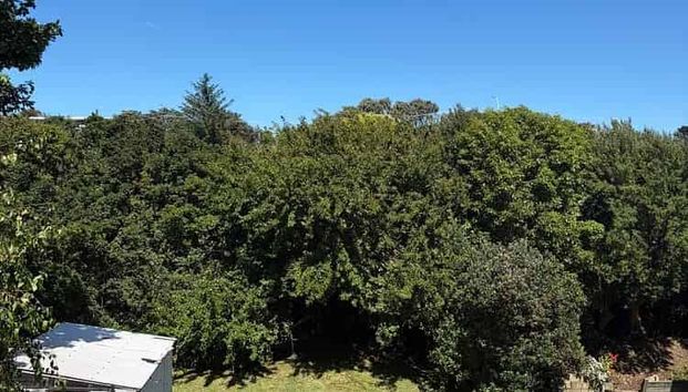 Charming 3BR Home Near Raumati Beach! - Photo 1