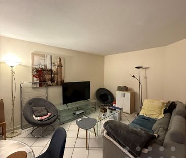 TYPE II MEUBLE - SECTEUR ST HILAIRE - Photo 3