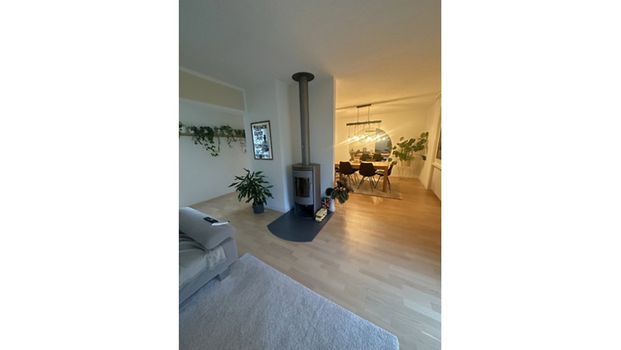 2.5 Zimmer, 100 m², 1. Stock - Foto 1