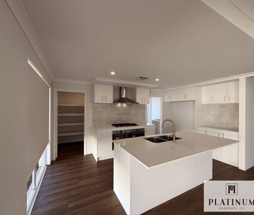 Spacious Modern Home - Photo 4