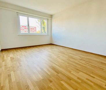 2 Zimmer, 44 m², 4. Stock - Photo 5