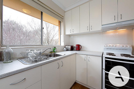 31/41 David St, Turner ACT 2612 - Apartment For Rent | Domain - Photo 4