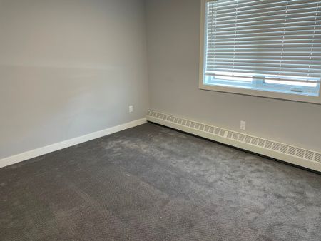 Small Pet Friendly 1 bed Apt located on the beach front in Sylvan Lake - Photo 4