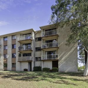 Modern 2-Bedroom Apartment in Prime Queanbeyan Location - Photo 3