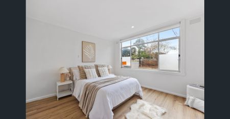 Updated Family Home Offering Space, Comfort and Lifestyle Convenience - Photo 4