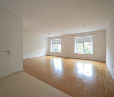 Traumhafte Wohnung in Wels mit modernem Design & Komfort - Foto 1