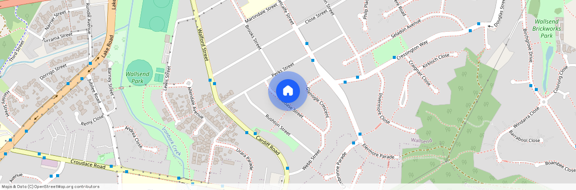 7 Moase Street, Wallsend, NSW 2287