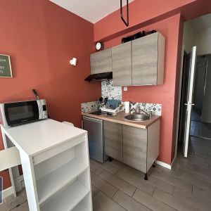 Location Appartement 1 pièce 19m² AGEN 47000 - Photo 3