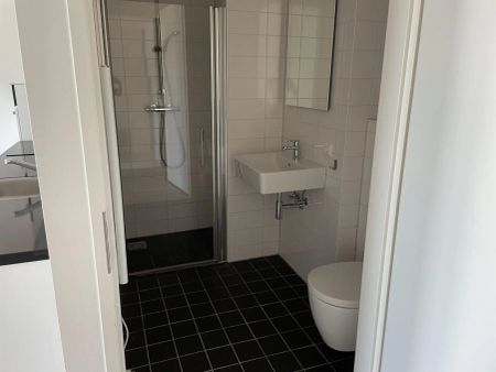 Studio Omegaplantsoen, Leyde - À Louer - Photo 5