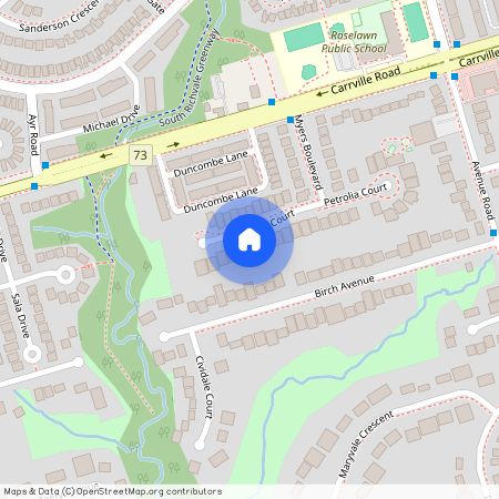 45 Shining Willow Court, Richmond Hill