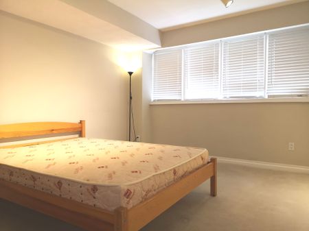 For Lease - 8 Janus Court Unit# Bsmt, Toronto, Ontario - Photo 3