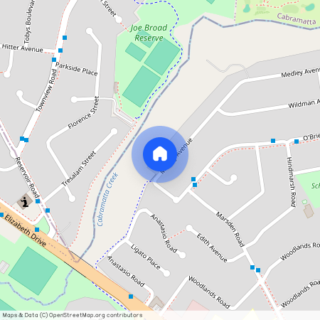 121 Medley Avenue, NSW 2170, Liverpool