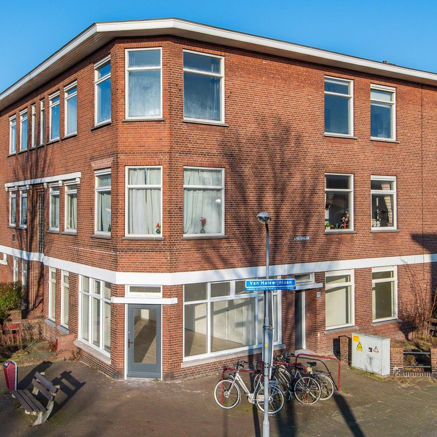 Te huur: Appartement van Halewijnlaan in Voorburg - Photo 1