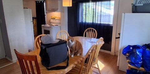 4 1/2 à louer Salaberry-de-Valleyfield - Photo 2