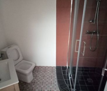 Location appartement 2 pièces 66.55 m² à Mâcon (71000) - Photo 5