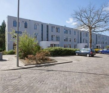 Heindijk 0ong, 3079 Rotterdam, Nederland - Foto 1