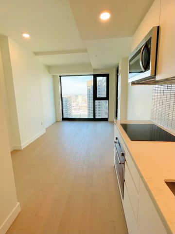 1210 Rue Jeanne Mance Montréal (Ville-Marie), QC H2X - Photo 3