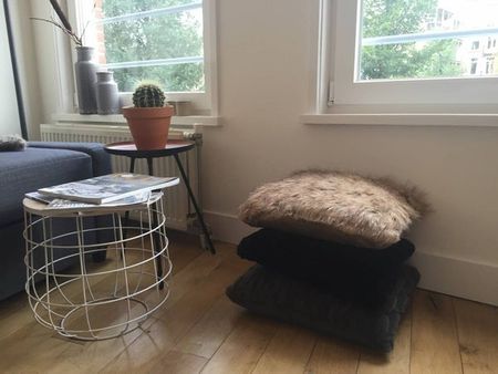 Te huur: Appartement Ruysdaelkade in Amsterdam - Foto 5