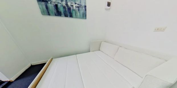 257 Cleveland Redfern, Sydney - Photo 1