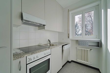 ACCOGLIENTE 3.5 LOCALI CON GRANDE TERRAZZO - Photo 4