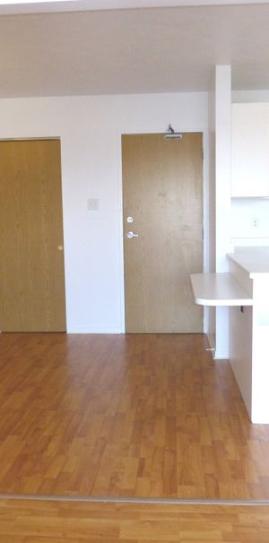 BEAU 4½|CHIENS ACCEPTÉS|TOUT INCLUS - Photo 1