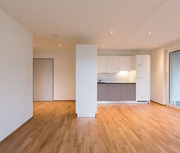 2.5 Zimmer-Wohnung in Sevelen - Photo 1