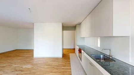Neubau voller Charme mit traumhafter Sonnenterrasse - Foto 5