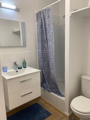 LOCATION - STUDIO MEUBLÉ AVEC PETIT BALCON - RÉNOVÉ - SAINT MAURICE - Photo 1