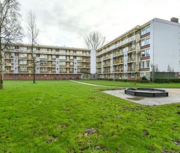 Leverkruidweg 1508 WP Zaandam - Foto 1